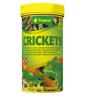 Tropical Crickets - 25g/250ml