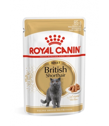 Royal Canin British Shorthair - 12x85g