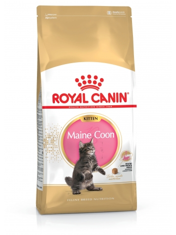 Royal Canin Maine Coon Kitten - 4kg