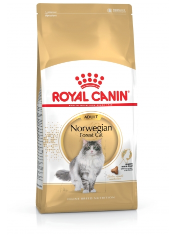 Royal Canin Norwegian - 10kg