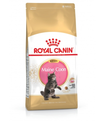 Royal Canin Maine Coon Kitten - 4kg