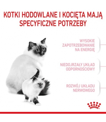 Royal Canin Babycat - 0,4kg