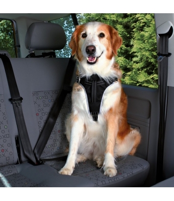 Pasy samochodowe Dog Comfort - rozmiar S