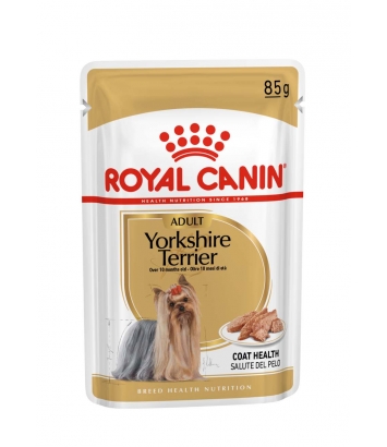 Royal Canin Yorkshire Terrier Adult 12x85g