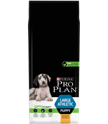 Purina Pro Plan Puppy Large Athletic 12kg