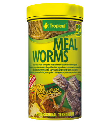 Tropical Meal Worms - 30g/250ml