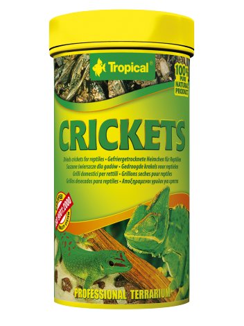 Tropical Crickets - 10g/100ml