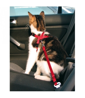 Szelki samochodowe - pasy dla kota