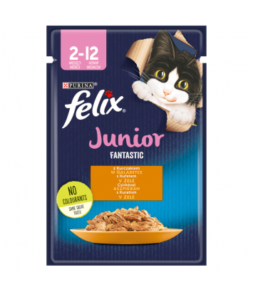 Felix Fantastic Junior 85g
