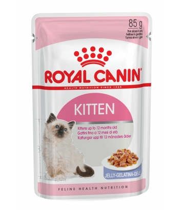 Royal Canin Kitten w galaretce 85g