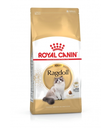 Royal Canin Ragdoll Adult - 10kg