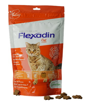Flexadin Cat 60 kęsów