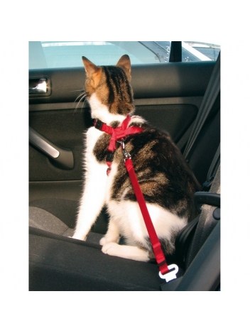 Szelki samochodowe - pasy dla kota