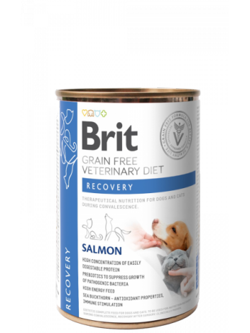 Brit Veterinary Diets Dog / Cat Recovery 400g
