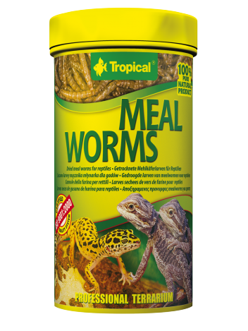 Tropical Meal Worms - 13g/100ml