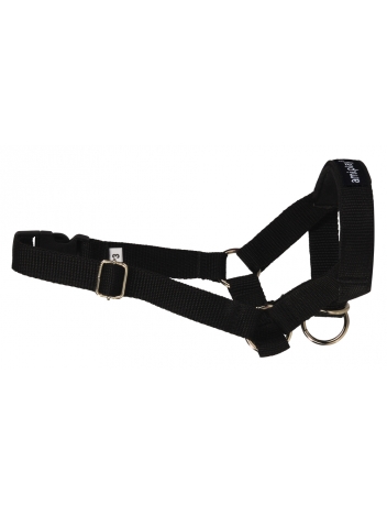 Halter Basic XXL