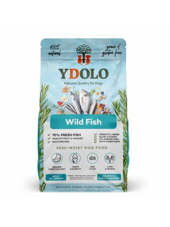 Ydolo Healthy Wild fish 10kg