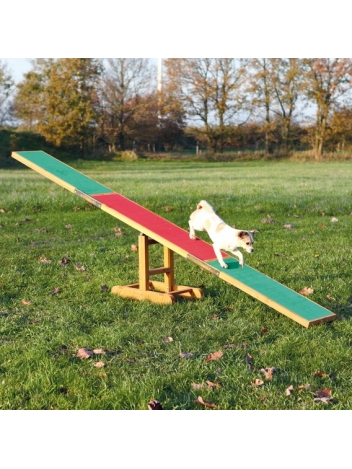 Huśtawka Agility - 300x54x34 cm