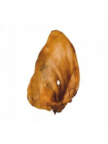 Ucho wieprzowe M 1szt