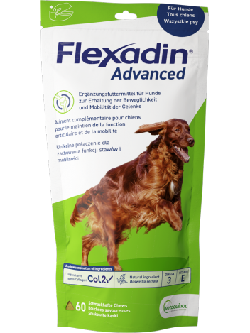 Flexadin Advance 60 kąsków - 2 opakowania