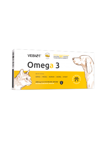 Omega 3 60 kapsułek