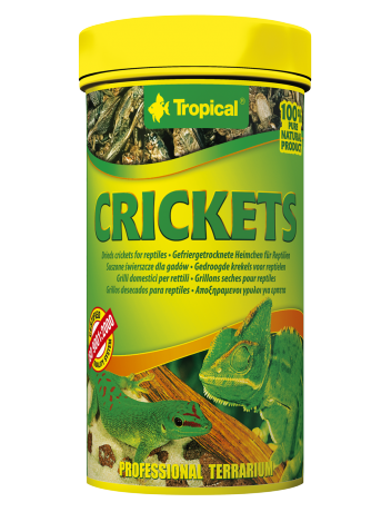 Tropical Crickets - 25g/250ml