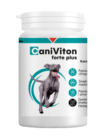 Caniviton Forte Plus 90 tabletek
