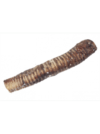 Tchawica wołowa 35cm