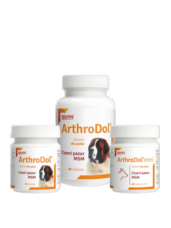 Dolfos ArthroDol 30 tabletek