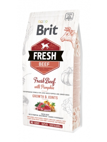 Brit Fresh Junior Large Breed Beef & Pumpkin - 2,5kg