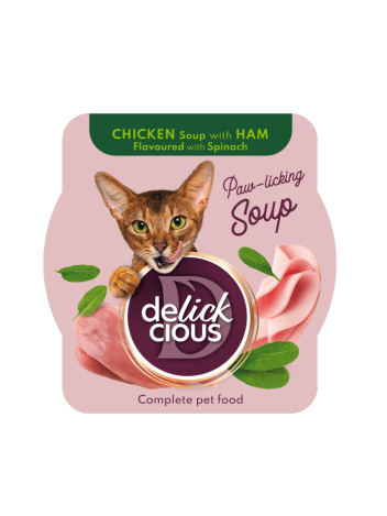 Delickcious Soup Zupa z kurczaka z szynką i szpinakiem 80g
