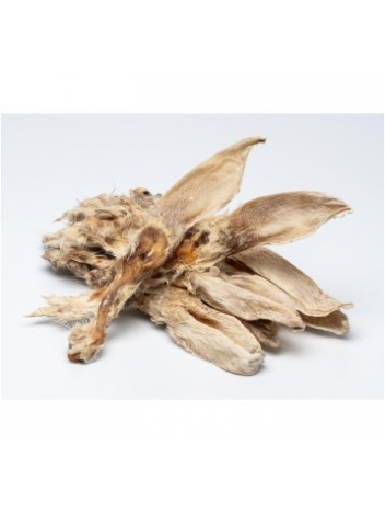 Ucho królika z futrem 10szt