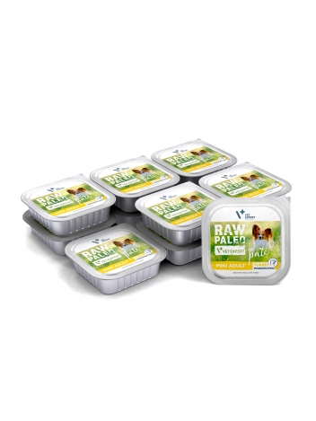 Raw Paleo Pate Mini Adult Turkey 12x150g