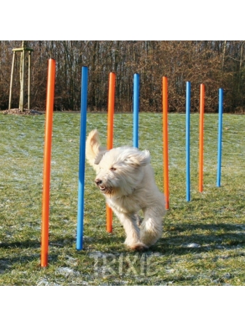 Slalom Agility - 115x3cm