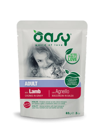 Oasy Cat Adult Chunks in Gravy 85g