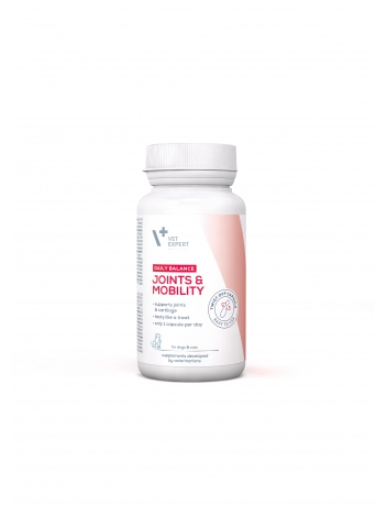 Joints & Mobility 30 kapsułek