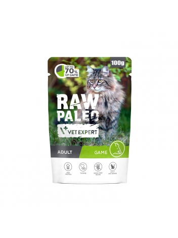 Raw Paleo Cat Adult Game 100g
