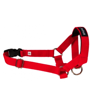 Halter Basic L