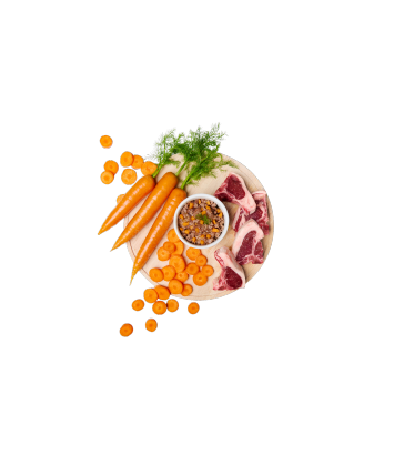 Real Bowl Jagnięcina saszetka 160g