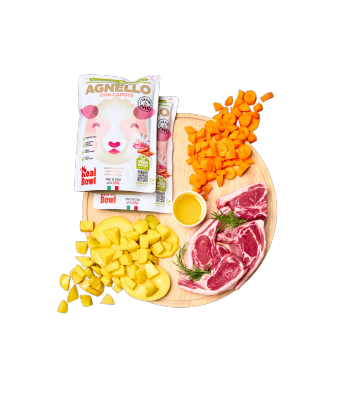 Real Bowl Jagnięcina saszetka 700g