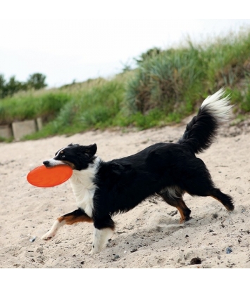 Frisbee "Dog Disc" - 18cm