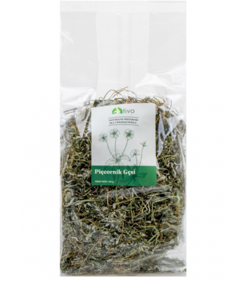 Pięciornik Gęsi 100g