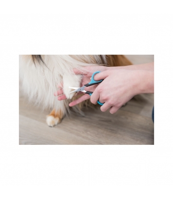 Nożyczki pielęgnacyjne 9cm