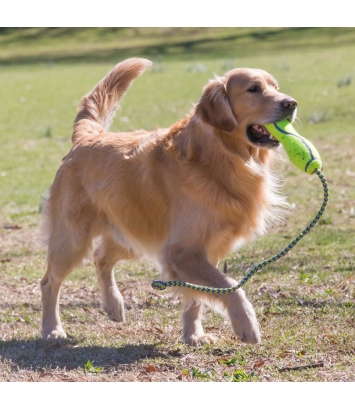 Airdog Fetch Stick with Rope M Kong