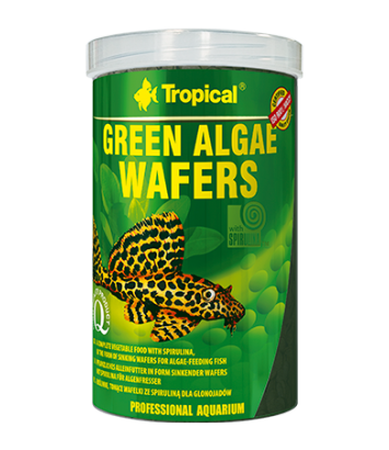 Green Algae Wafers 100ml