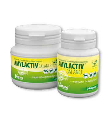 Amylactiv Balance 60 kaps.