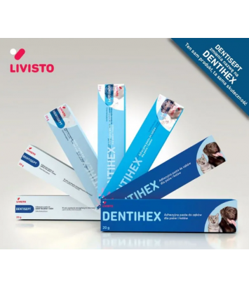 Dentihex 20g