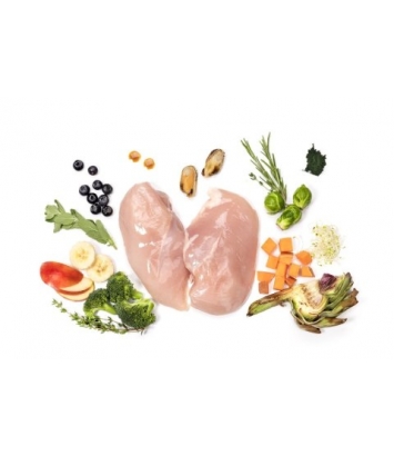 Ydolo Healthy Pure AD Mini 700g Chicken