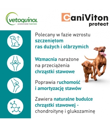 Caniviton Protect 90 tabletek