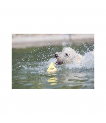 Aqua Toy Shark Fin 18cm